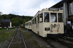 Treffen-dautomne-202564