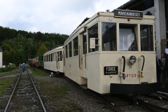 Treffen-dautomne-202565