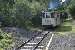 Treffen-dautomne-202575