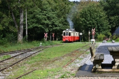 Treffen-dautomne-202579