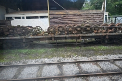 Treffen-dautomne-202585