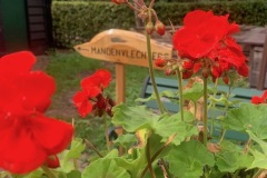 Najaars-treffen-Boekel-42