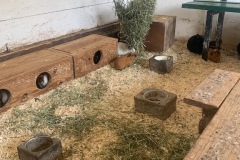 Najaars-treffen-Boekel-51
